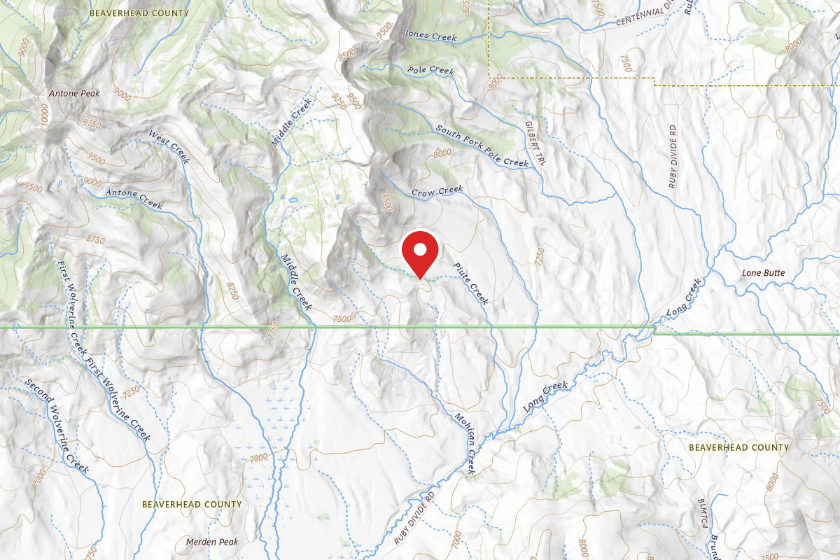 Beaverhead-Deerlodge Dispersed Campsite FS9657-01