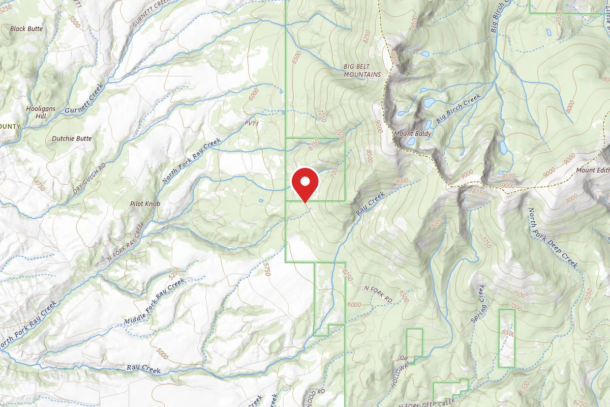 Helena-Lewis and Clark Dispersed Campsite HOLLOWAY RD 4187 003