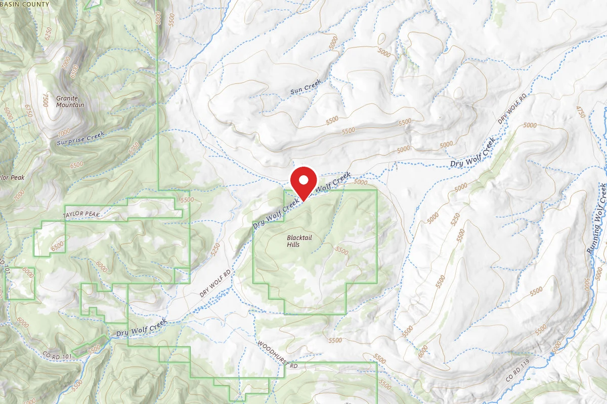 Helena-Lewis and Clark Dispersed Campsite BLACKTAILS AREA RD 251-5