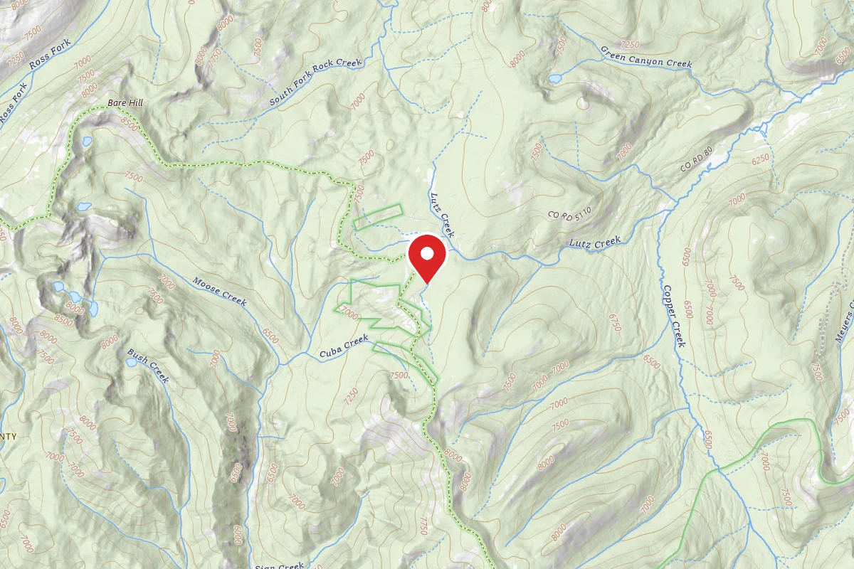 Beaverhead-Deerlodge Dispersed Campsite FROGPOND BASIN RD-002