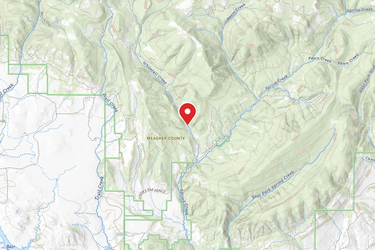 Helena-Lewis and Clark Dispersed Campsite OFF BASIN CREEK RD 2007-1