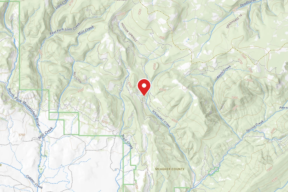 Helena-Lewis and Clark Dispersed Campsite OFF SPRING CREEK RD 2033-1