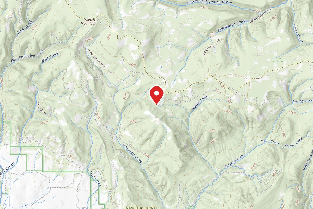 Helena-Lewis and Clark Dispersed Campsite BEAR PARK RD 6429-3