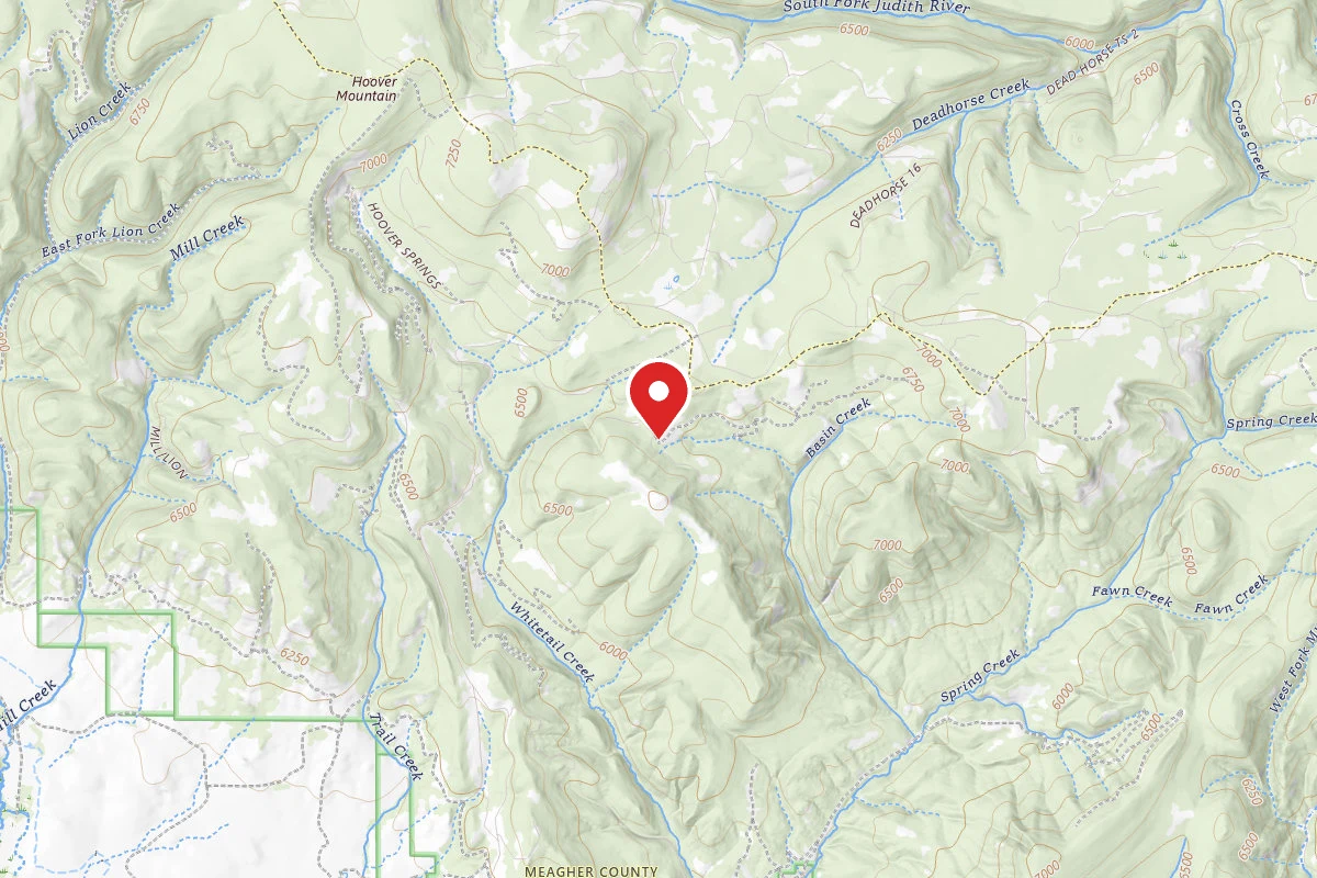 Helena-Lewis and Clark Dispersed Campsite BEAR PARK RD 6429-1
