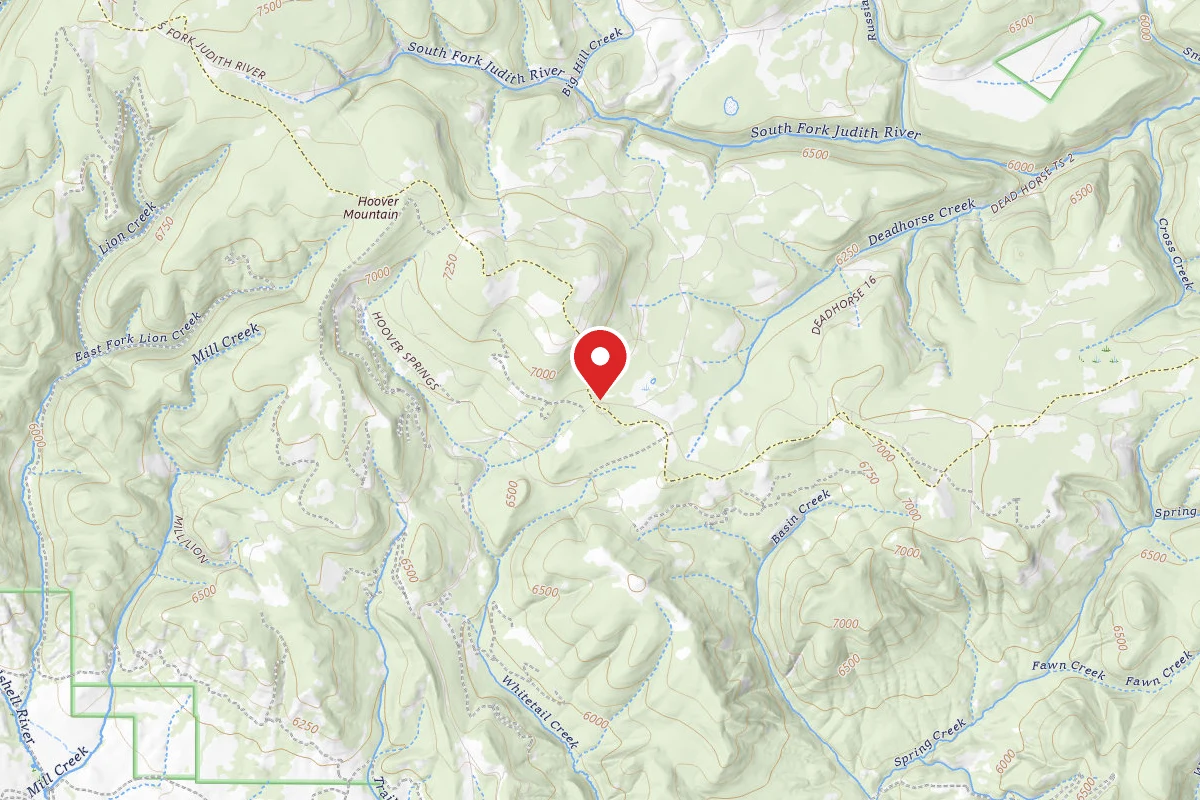 Helena-Lewis and Clark Dispersed Campsite SPRING CREEK RD 274-11