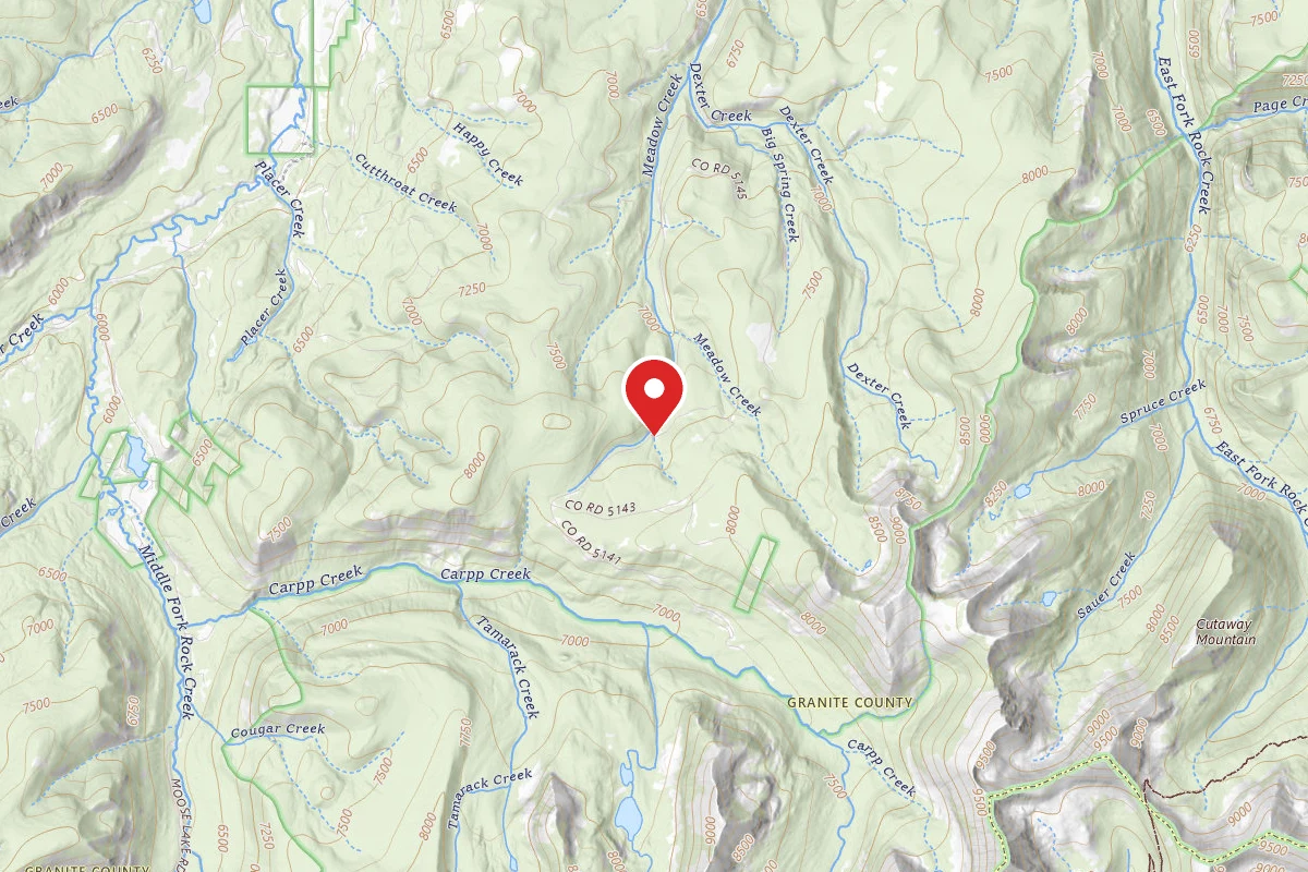 Beaverhead-Deerlodge Dispersed Campsite MEADOW CREEK RD-003