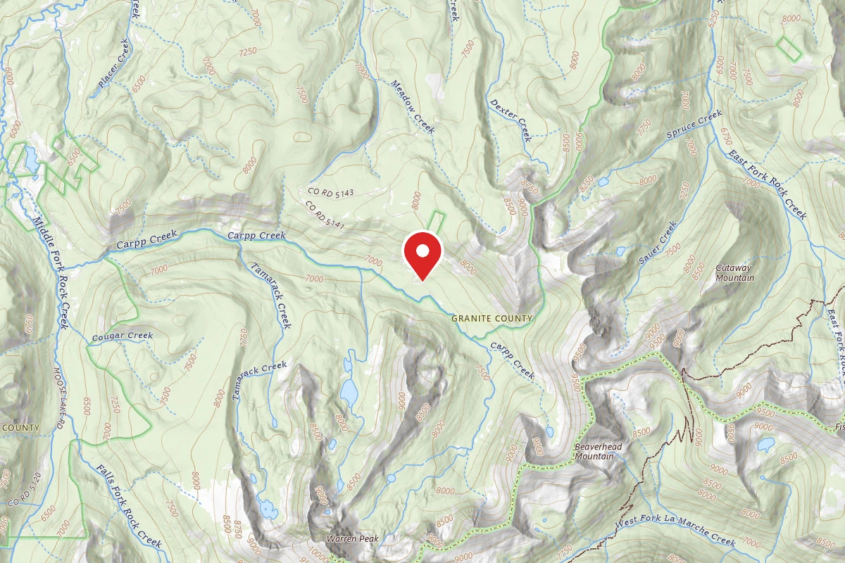 Beaverhead-Deerlodge Dispersed Campsite CARPP CREEK-002
