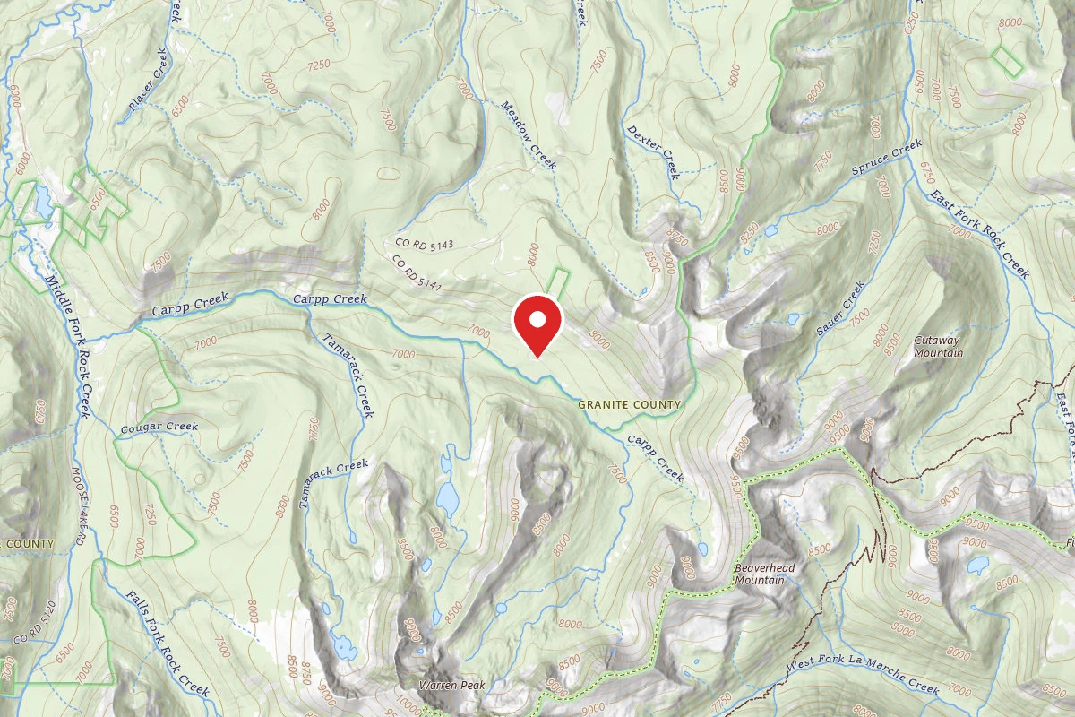 Beaverhead-Deerlodge Dispersed Campsite CARPP CREEK-003