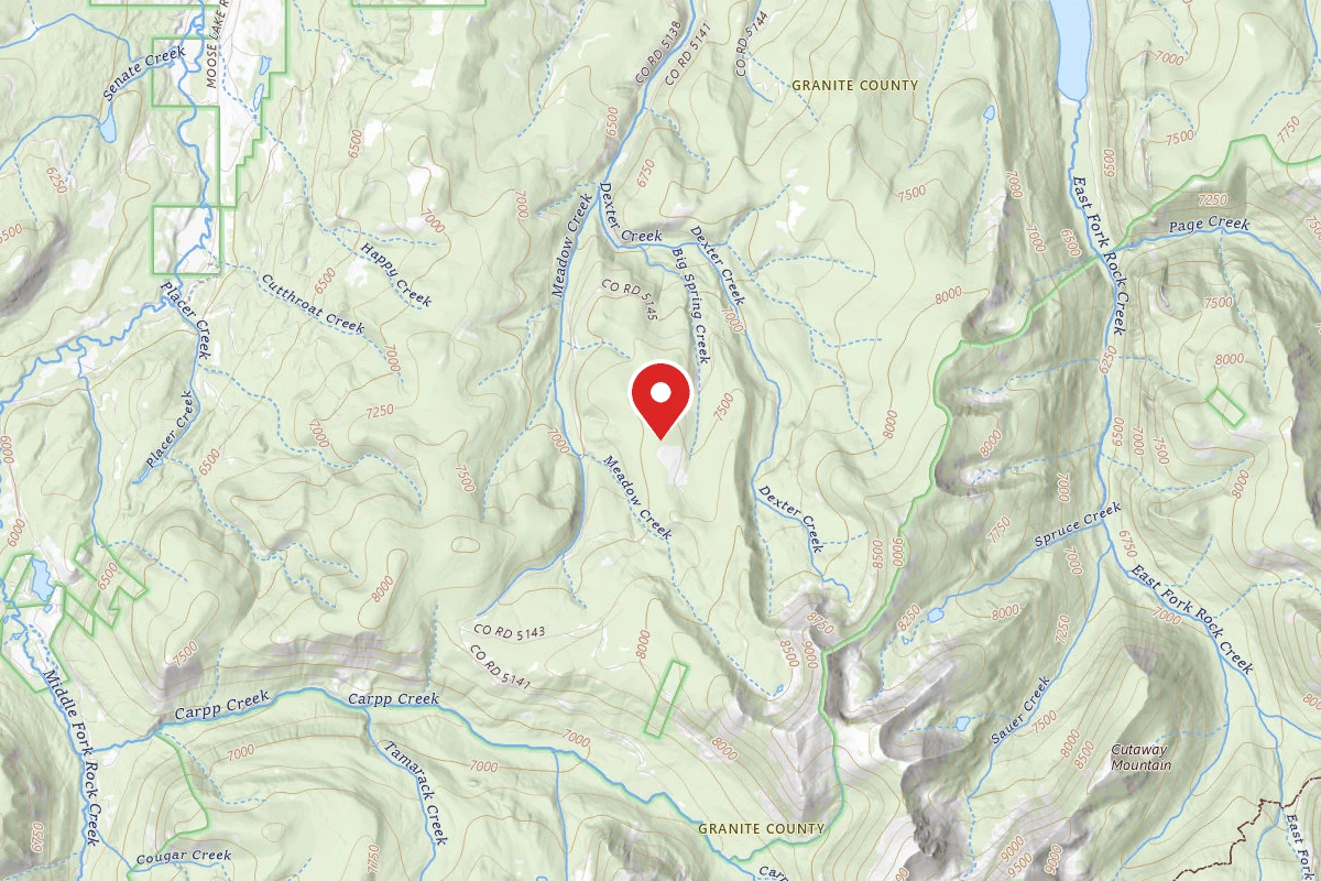 Beaverhead-Deerlodge Dispersed Campsite MEADOW CREEK RD-005