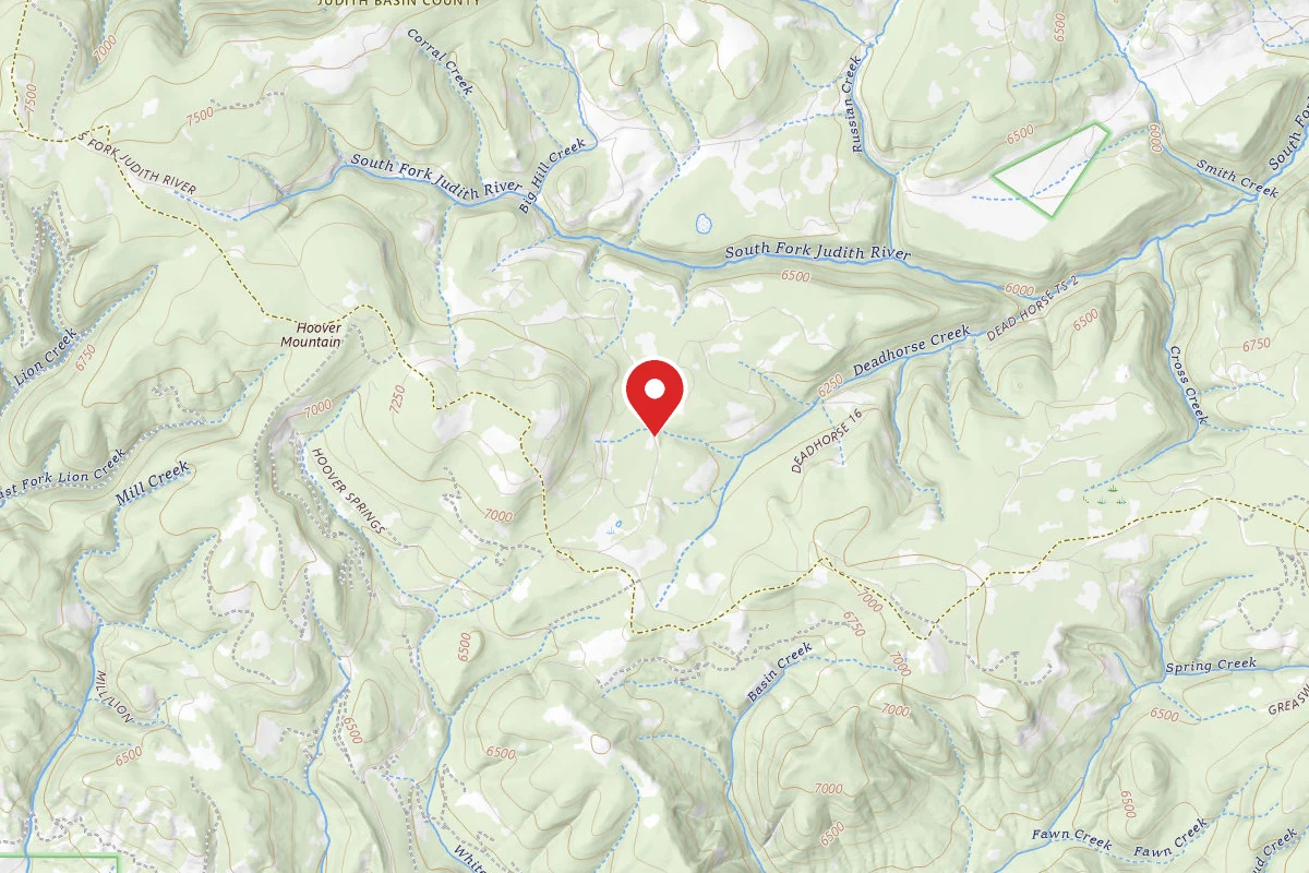 Helena-Lewis and Clark Dispersed Campsite SPRING CREEK RD 274-15