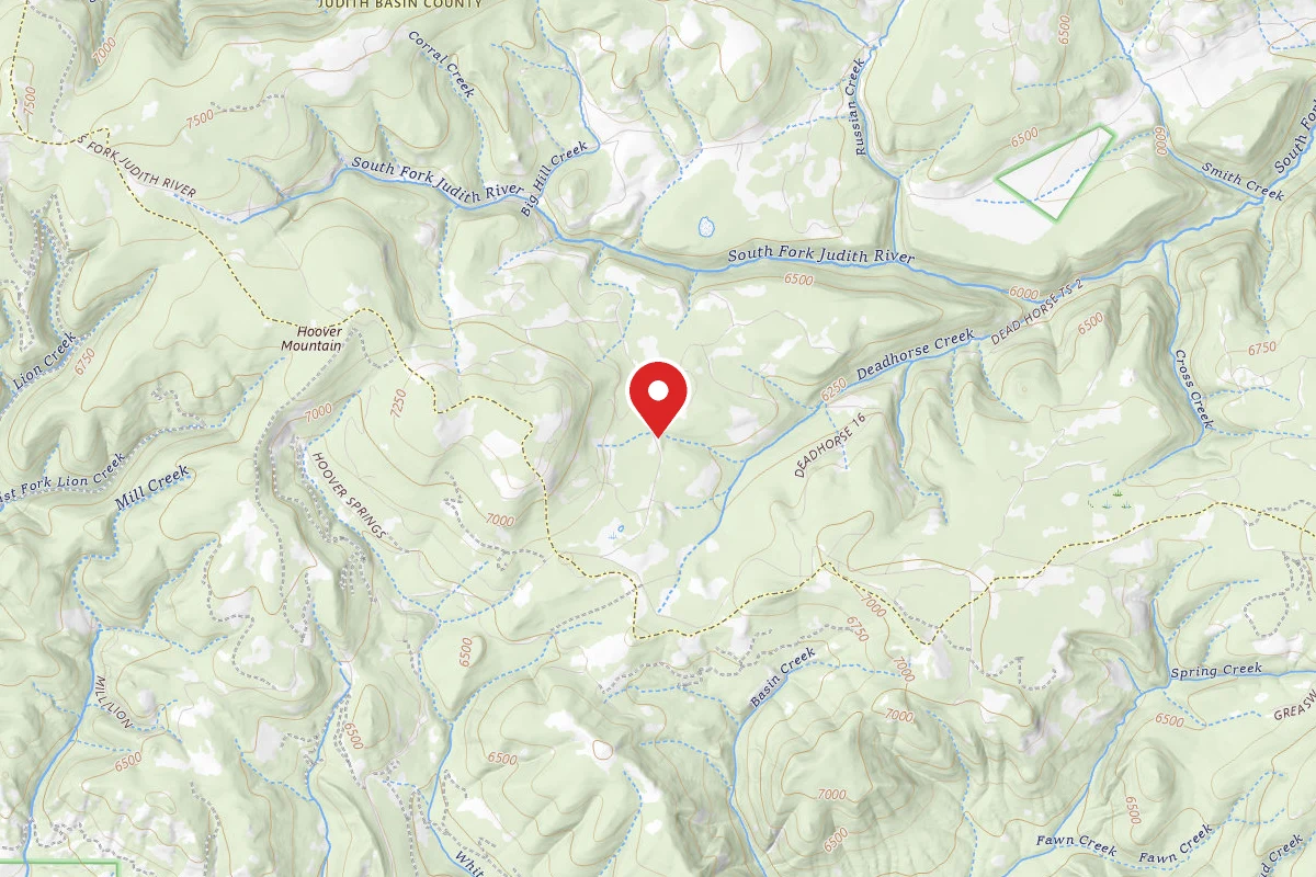 Helena-Lewis and Clark Dispersed Campsite SPRING CREEK RD 274-16