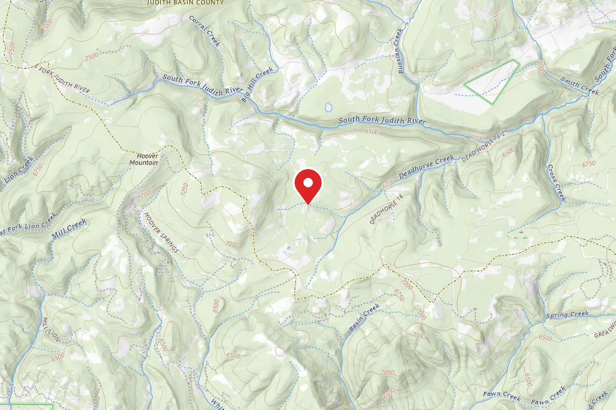 Helena-Lewis and Clark Dispersed Campsite SPRING CREEK RD 274-18