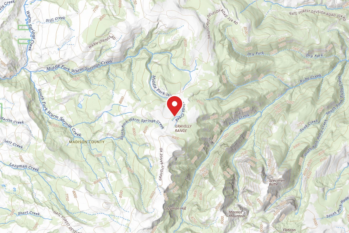 Beaverhead-Deerlodge Dispersed Campsite FS290-01(7/14)