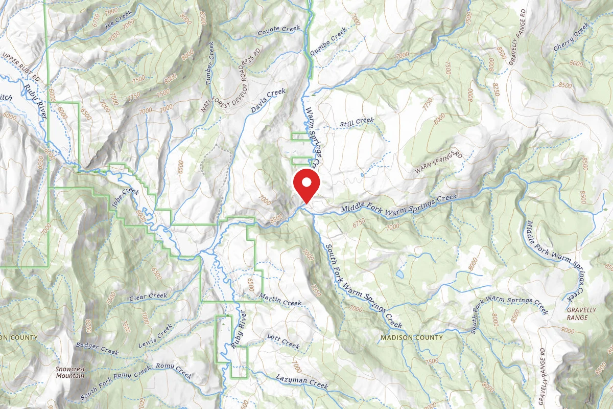 Beaverhead-Deerlodge Dispersed Campsite FS163-01