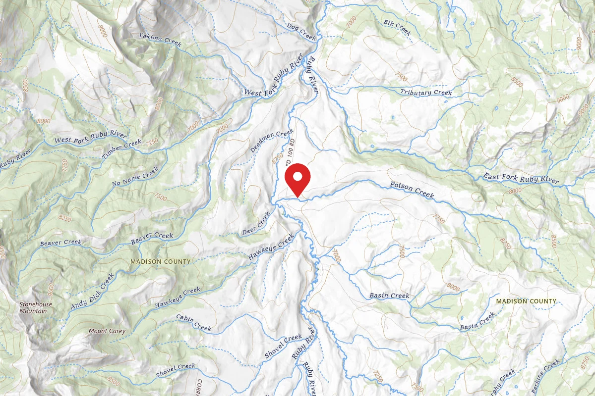 Beaverhead-Deerlodge Dispersed Campsite FS6100-02