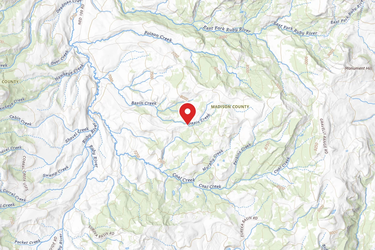Beaverhead-Deerlodge Dispersed Campsite FS8432-01