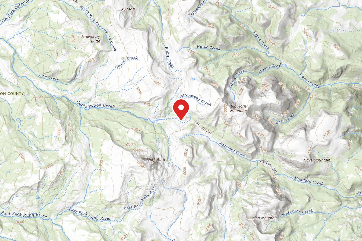 Beaverhead-Deerlodge Dispersed Campsite FS1012-01.