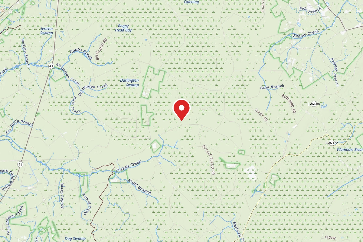 Francis Marion National Forest