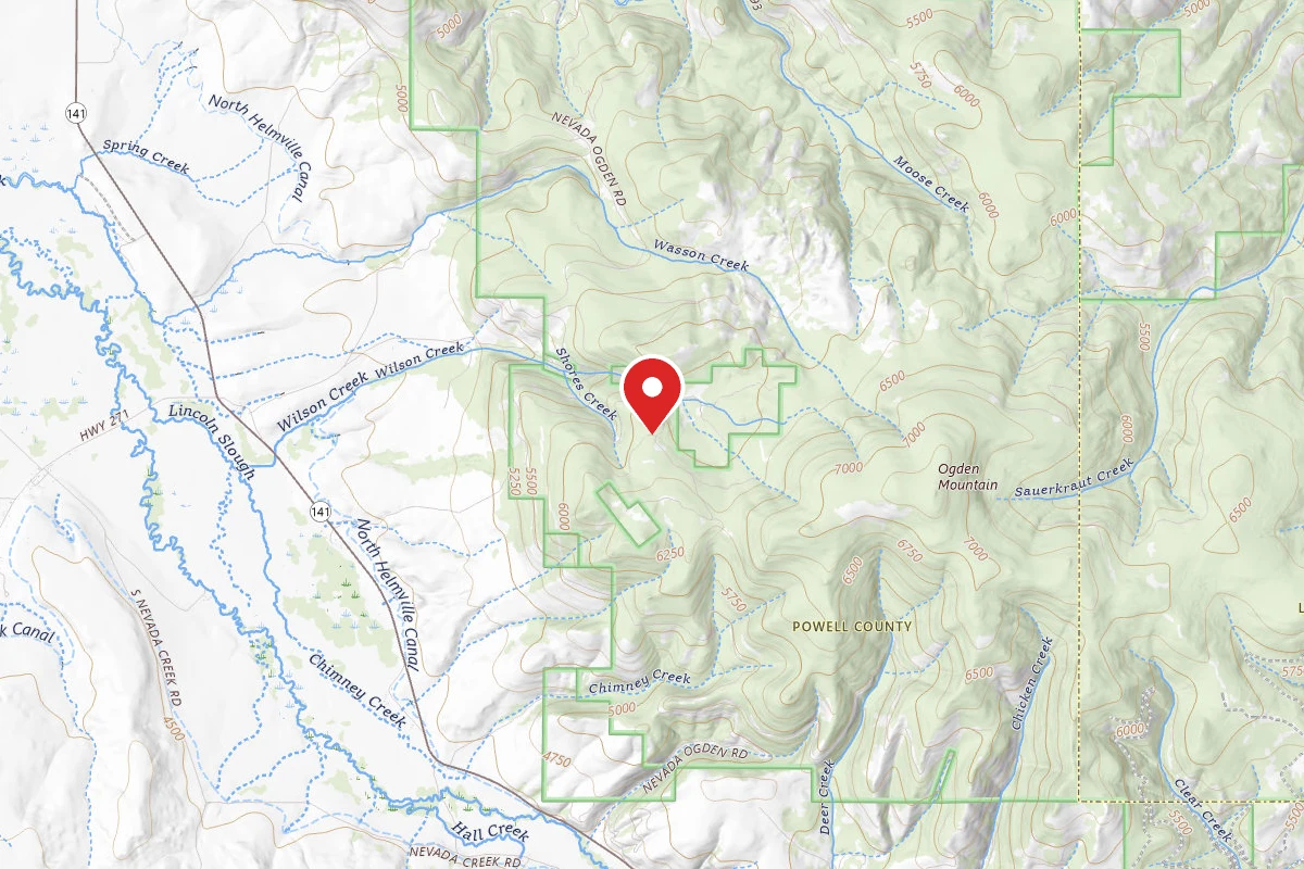 Helena-Lewis and Clark Dispersed Campsite WILSON CRK-RD 1823A1-006