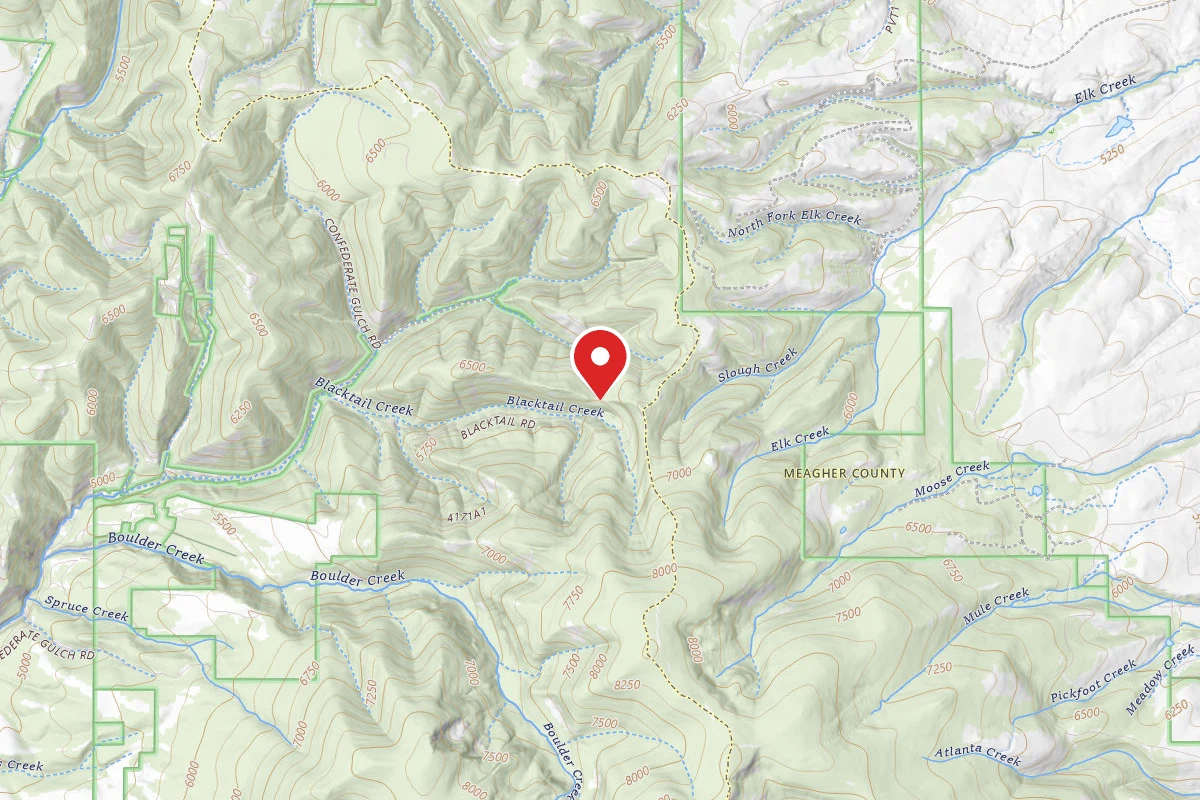 Helena-Lewis and Clark Dispersed Campsite BLACKTAIL RD 4171 006