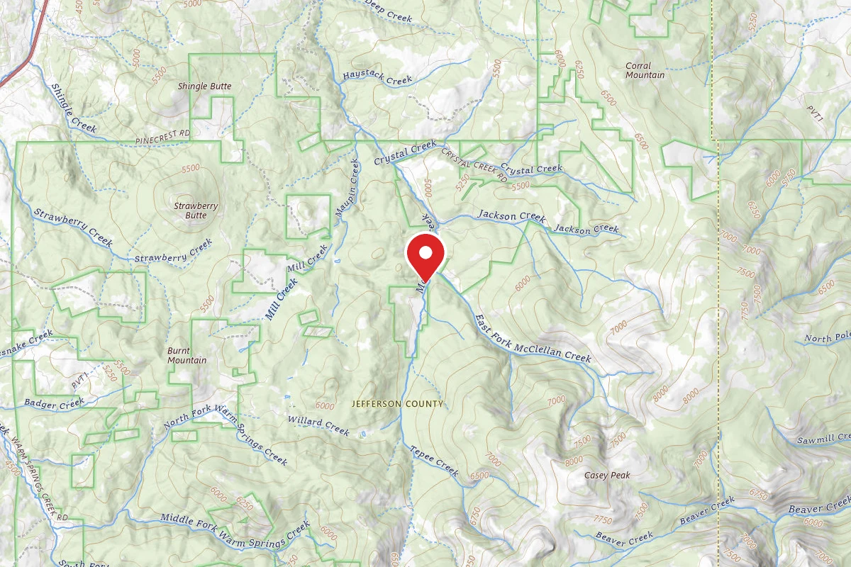 Helena-Lewis and Clark Dispersed Campsite MCCLELLAN CREEK RD 294 008A