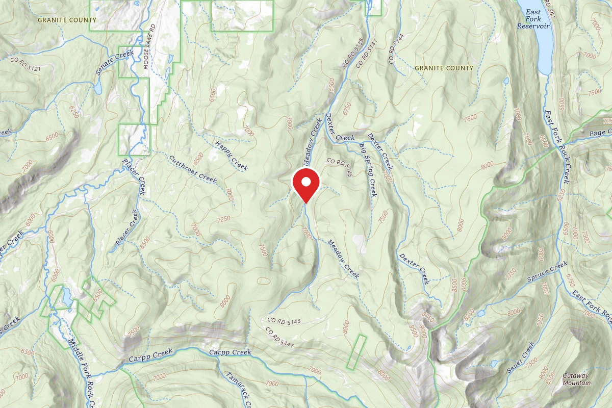 Beaverhead-Deerlodge Dispersed Campsite MEADOW CREEK RD-008