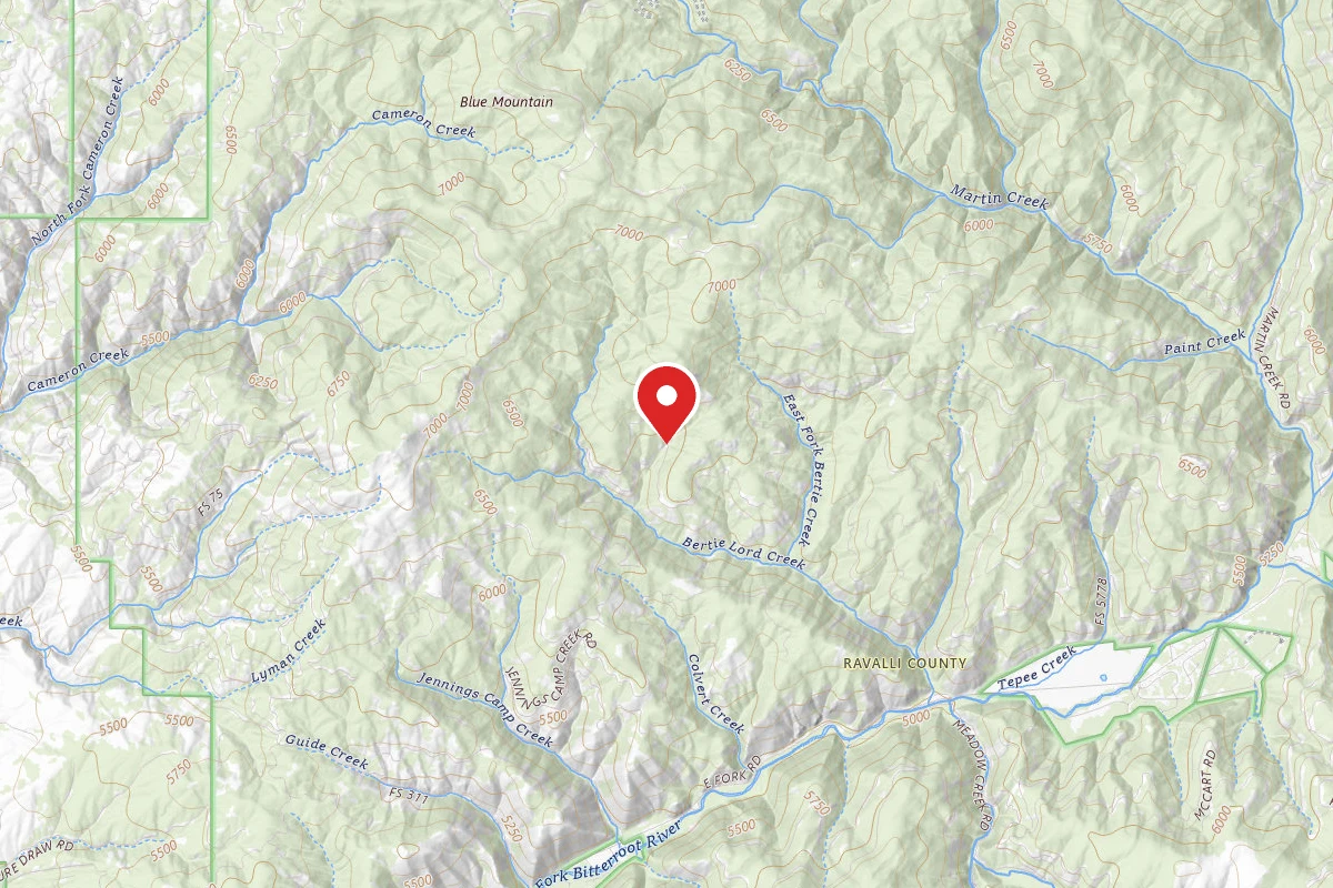 Bitterroot Dispersed Campsite RD 5786-01