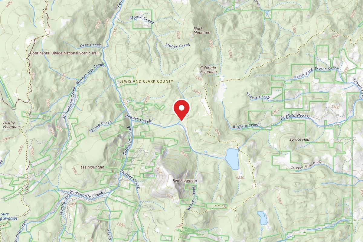 Helena-Lewis and Clark Dispersed Campsite CHESSMAN RD 299 008