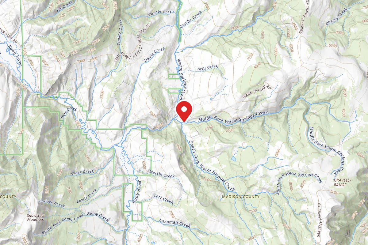 Beaverhead-Deerlodge Dispersed Campsite FS163-01A