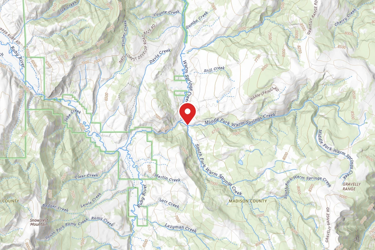 Beaverhead-Deerlodge Dispersed Campsite FS163-01B