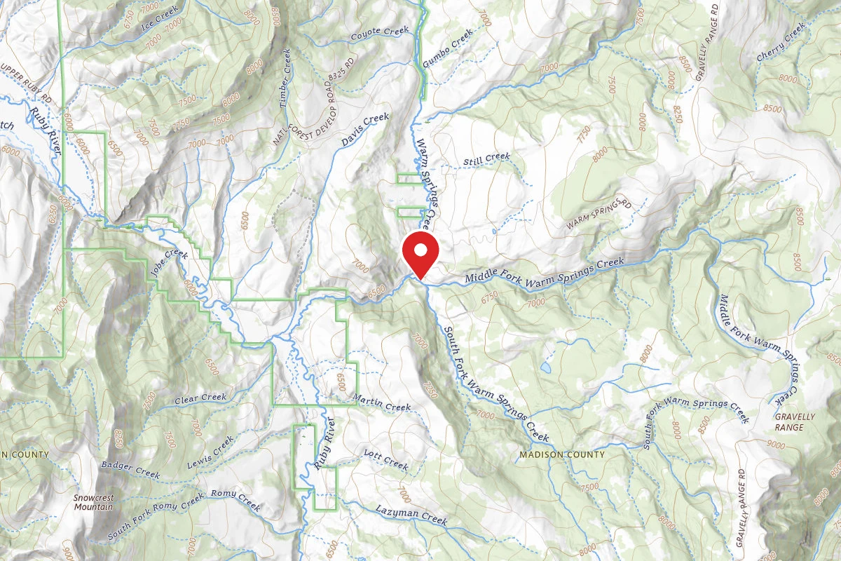 Beaverhead-Deerlodge Dispersed Campsite FS163-01D