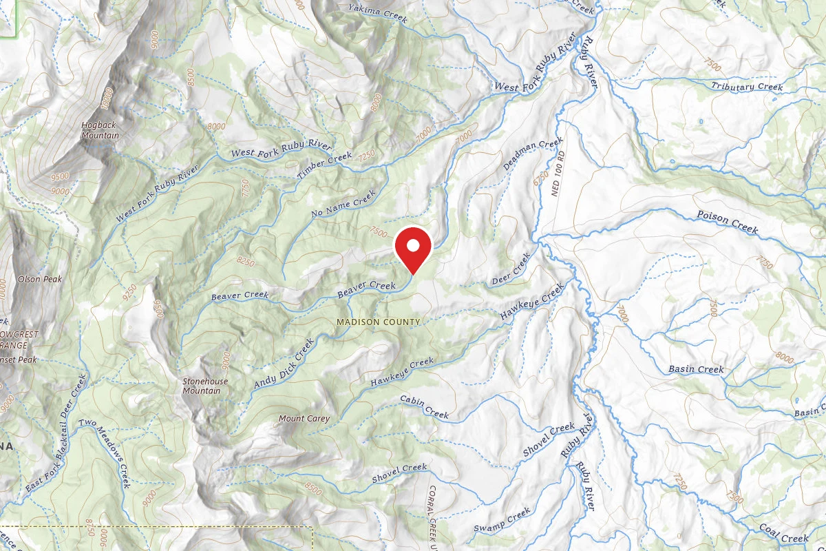 Beaverhead-Deerlodge Dispersed Campsite FS9663-01