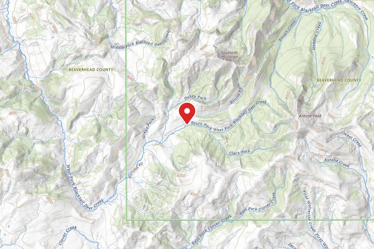 Beaverhead-Deerlodge Dispersed Campsite FS325-01