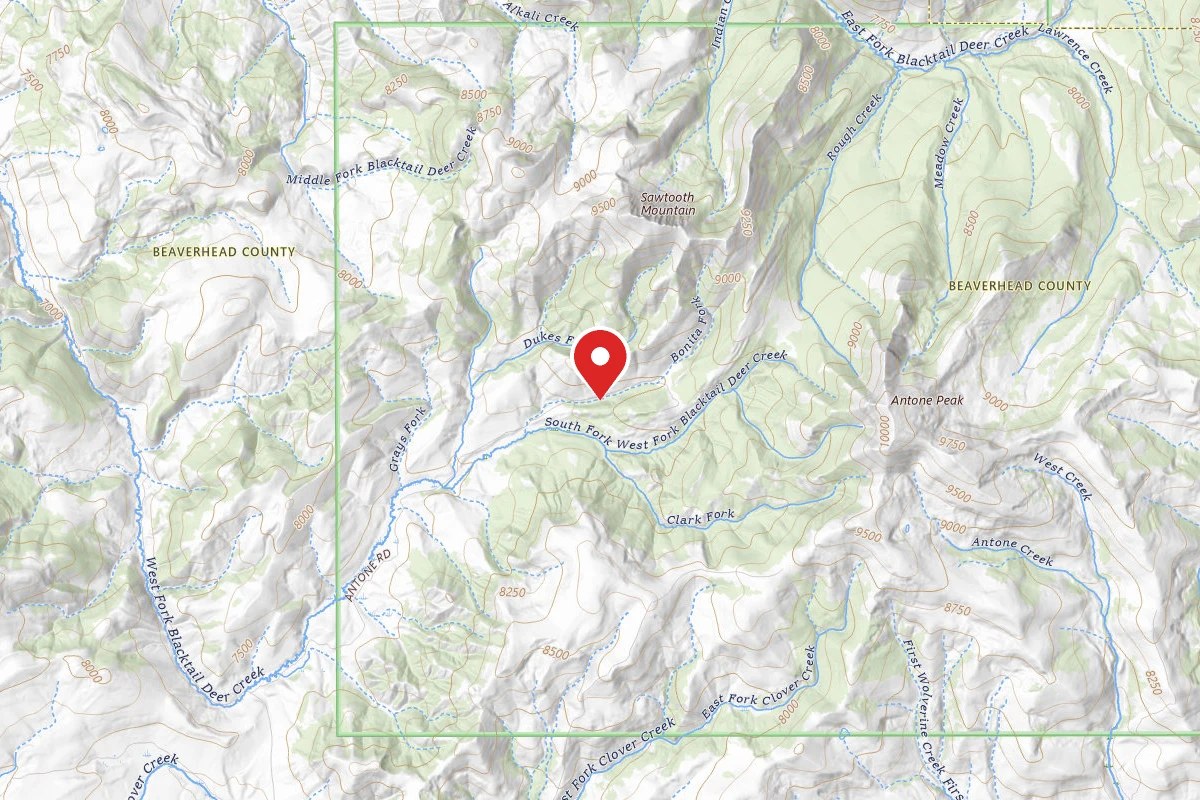 Beaverhead-Deerlodge Dispersed Campsite FS325-02