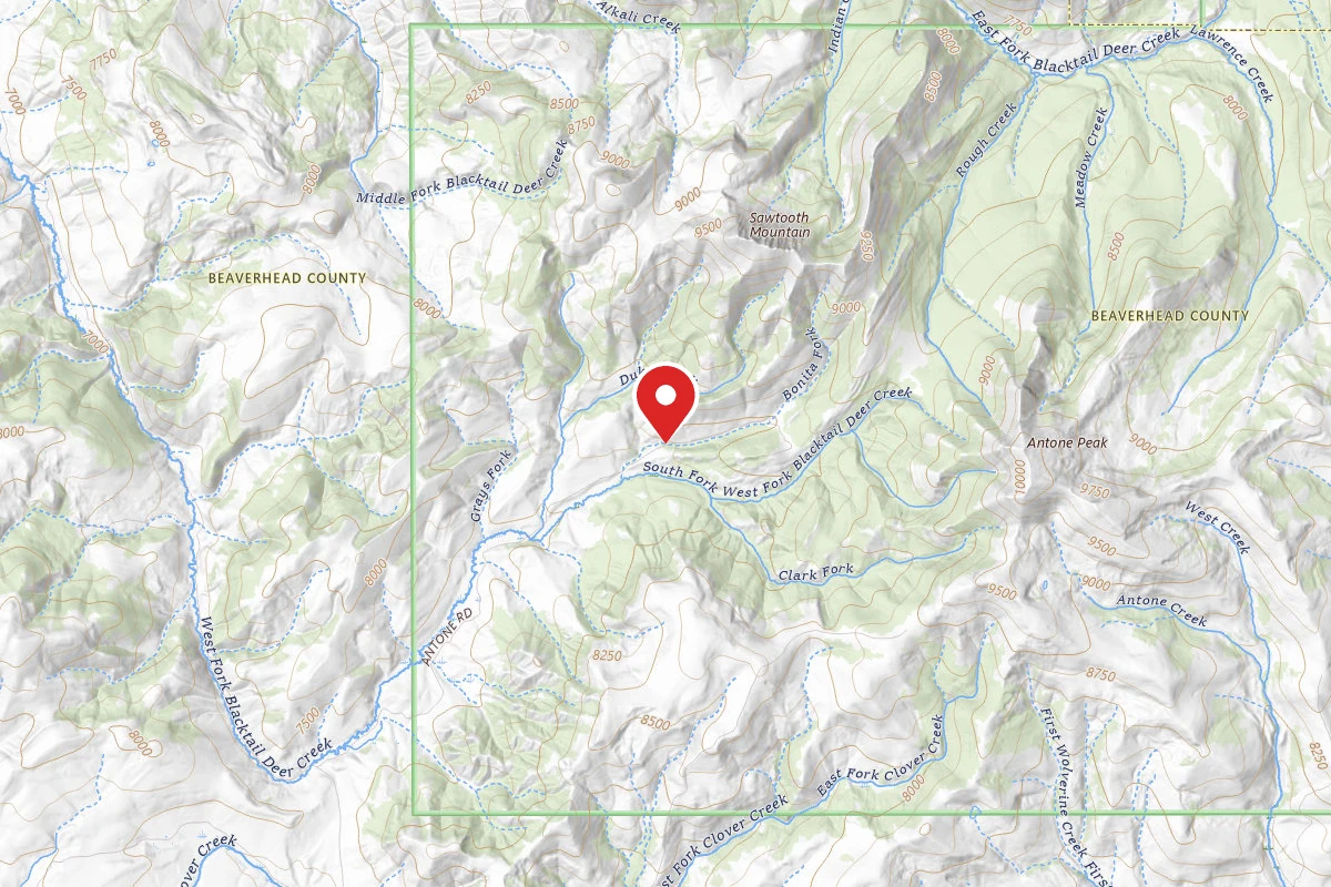Beaverhead-Deerlodge Dispersed Campsite FS325-07