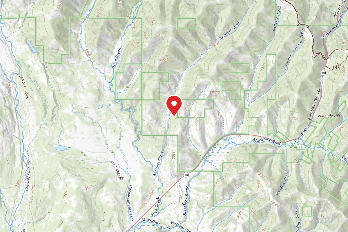 Helena-Lewis and Clark Dispersed Campsite SECOND GULCH-012