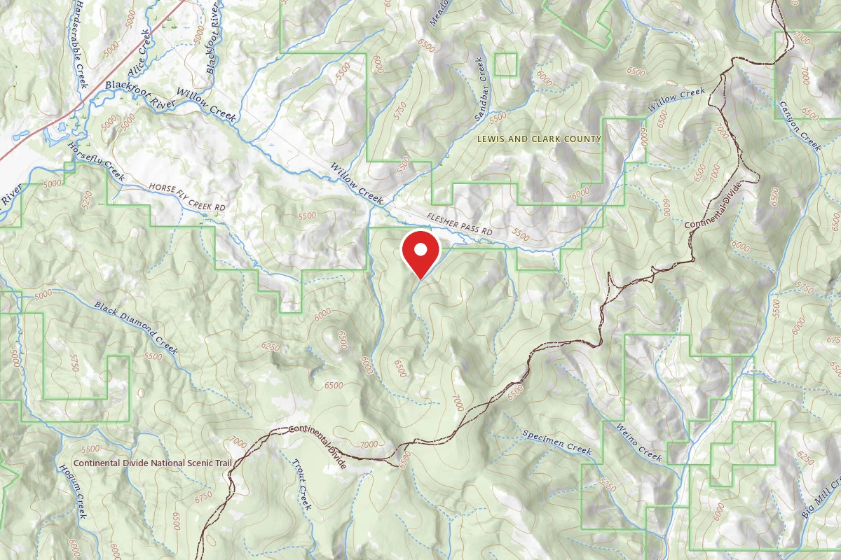 Helena-Lewis and Clark Dispersed Campsite WEST FLESHER-RD-4108-002D