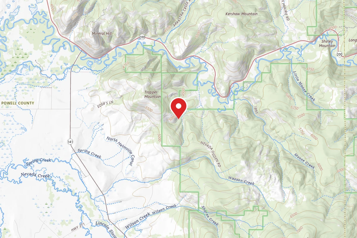 Helena-Lewis and Clark Dispersed Campsite MOOSE CRK-RD 1163B1-008