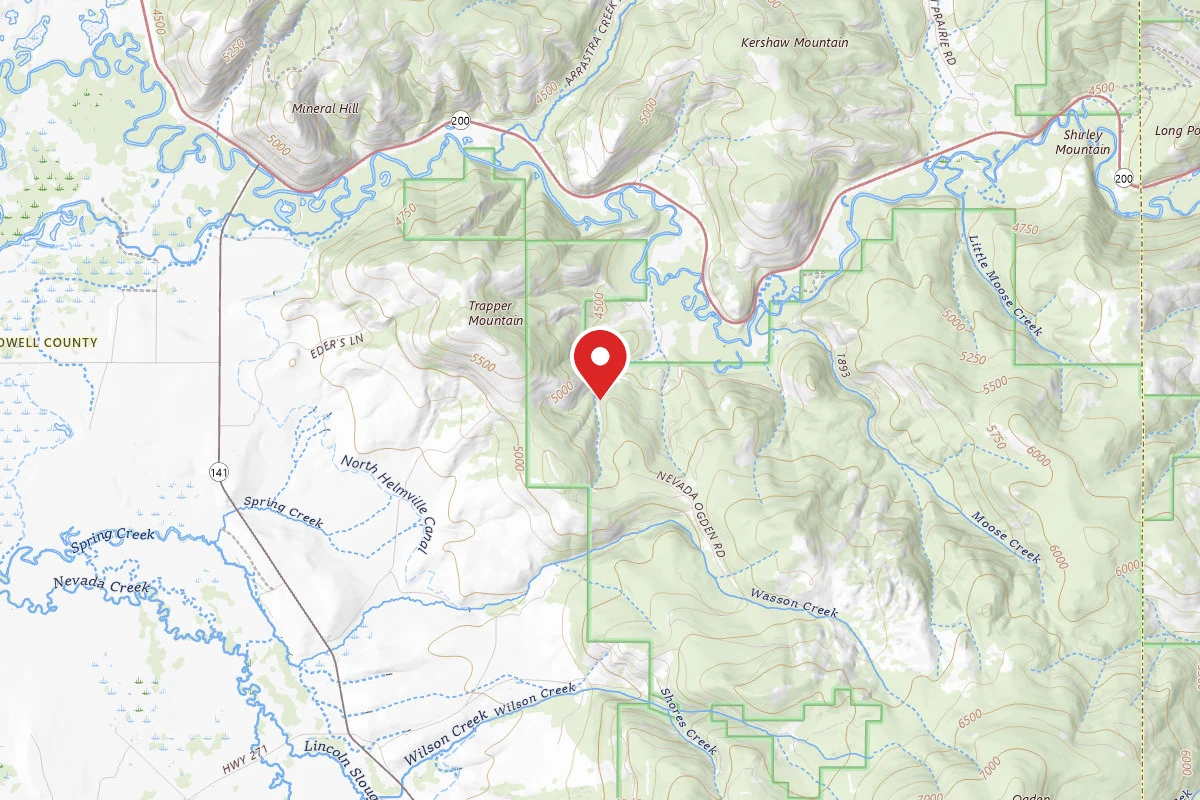 Helena-Lewis and Clark Dispersed Campsite MOOSE CRK-RD 1163B1-009