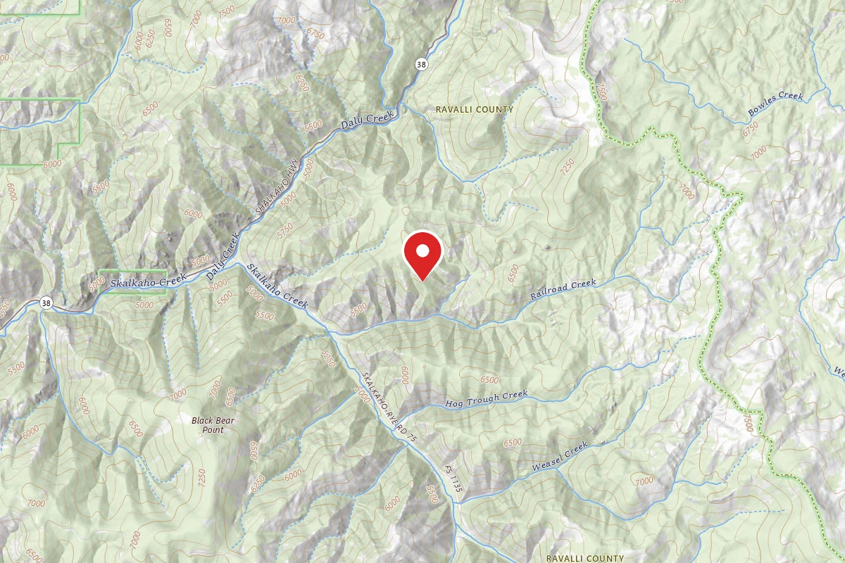 Bitterroot Dispersed Campsite RD 711-02
