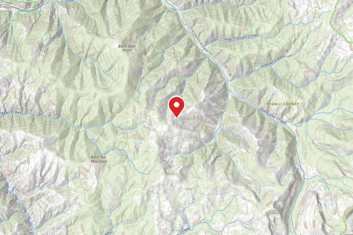 Bitterroot Dispersed Campsite RD 720-04