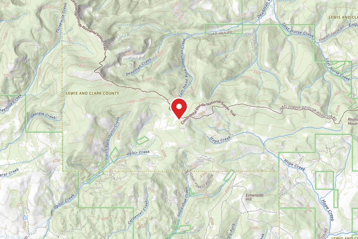 Helena-Lewis and Clark Dispersed Campsite OPHIR RD 136 019