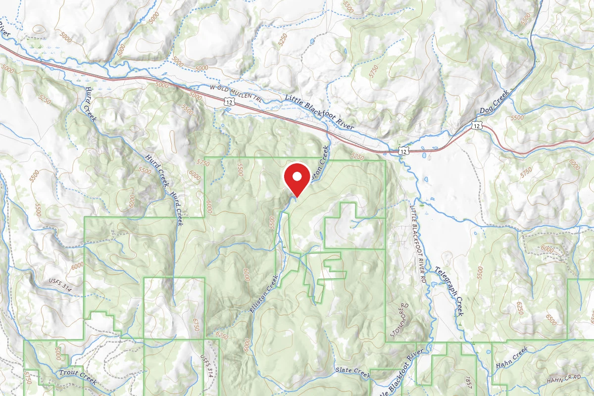 Helena-Lewis and Clark Dispersed Campsite ELLISTON RD 314 001