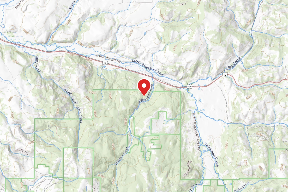 Helena-Lewis and Clark Dispersed Campsite ELLISTON RD 314 003