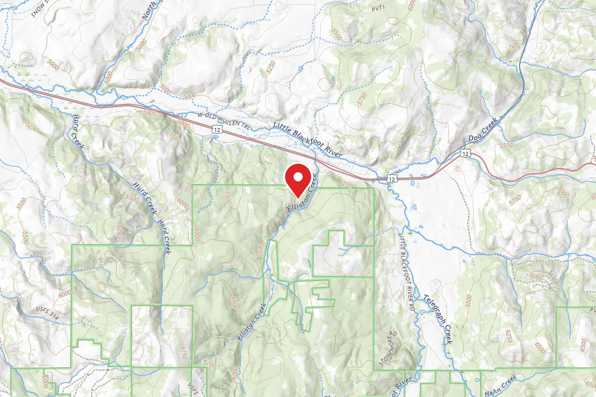 Helena-Lewis and Clark Dispersed Campsite ELLISTON RD 314 004