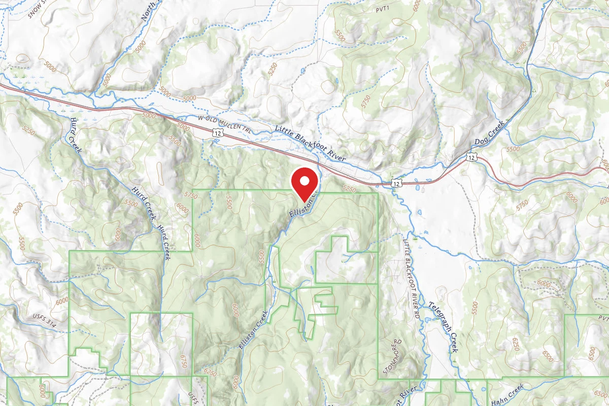 Helena-Lewis and Clark Dispersed Campsite ELLISTON RD 314 005