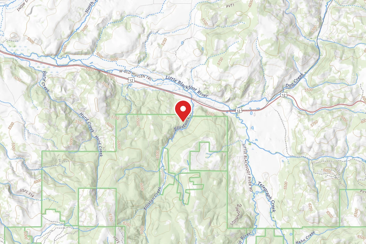 Helena-Lewis and Clark Dispersed Campsite ELLISTON RD 314 006