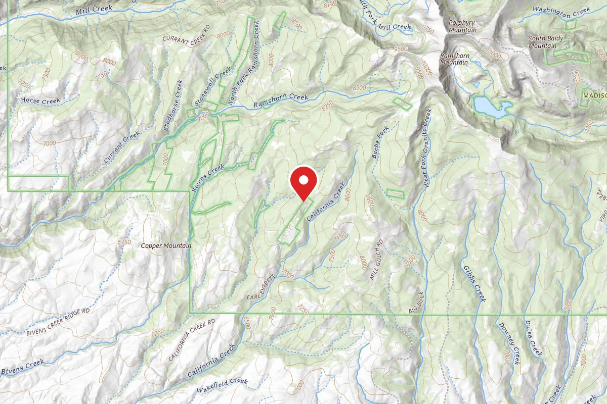 Beaverhead-Deerlodge Dispersed Campsite FS1217-04
