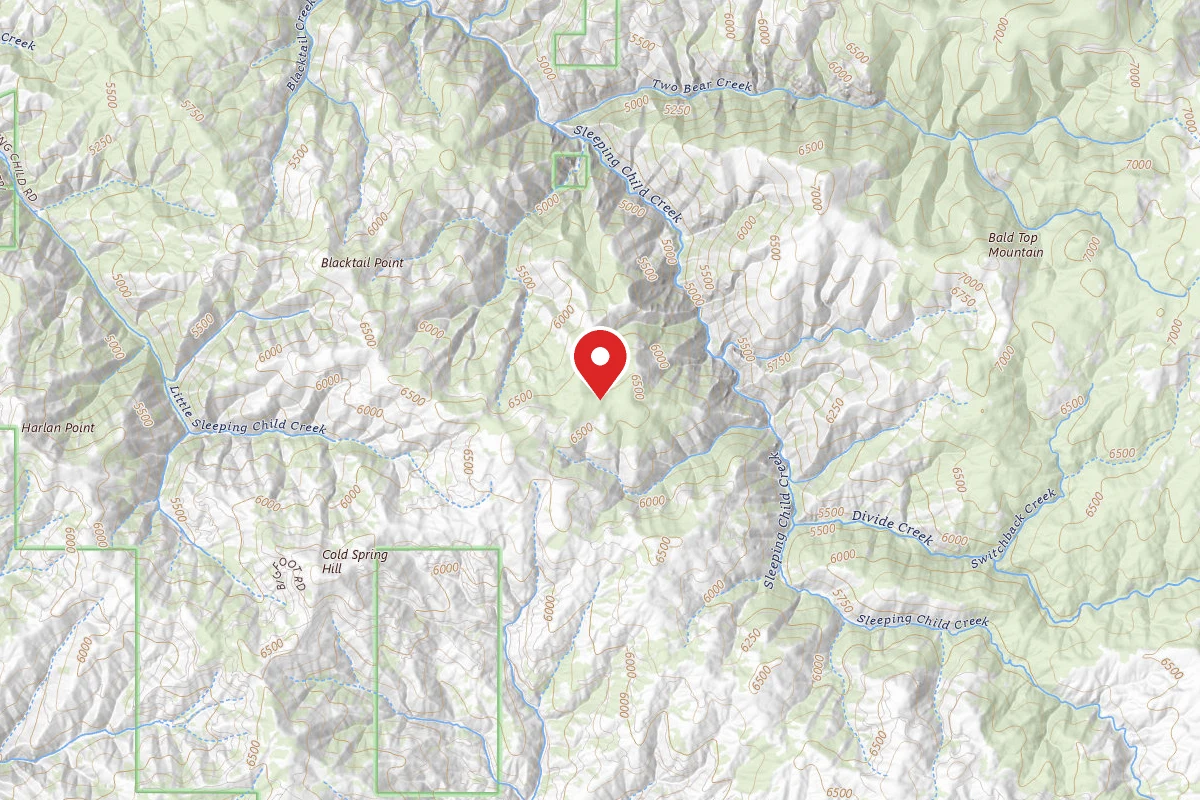 Bitterroot Dispersed Campsite RD 273-04A