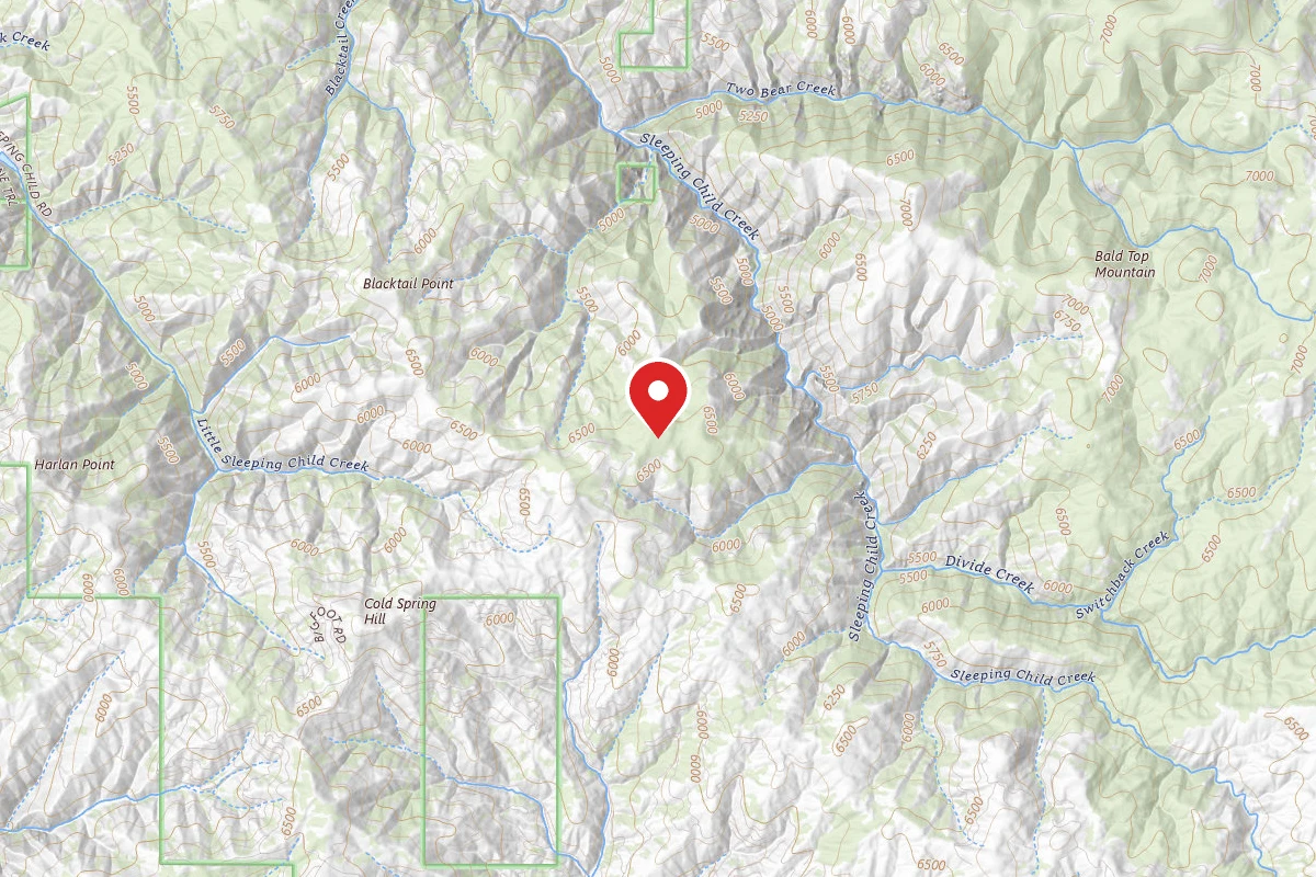 Bitterroot Dispersed Campsite RD 273-04B